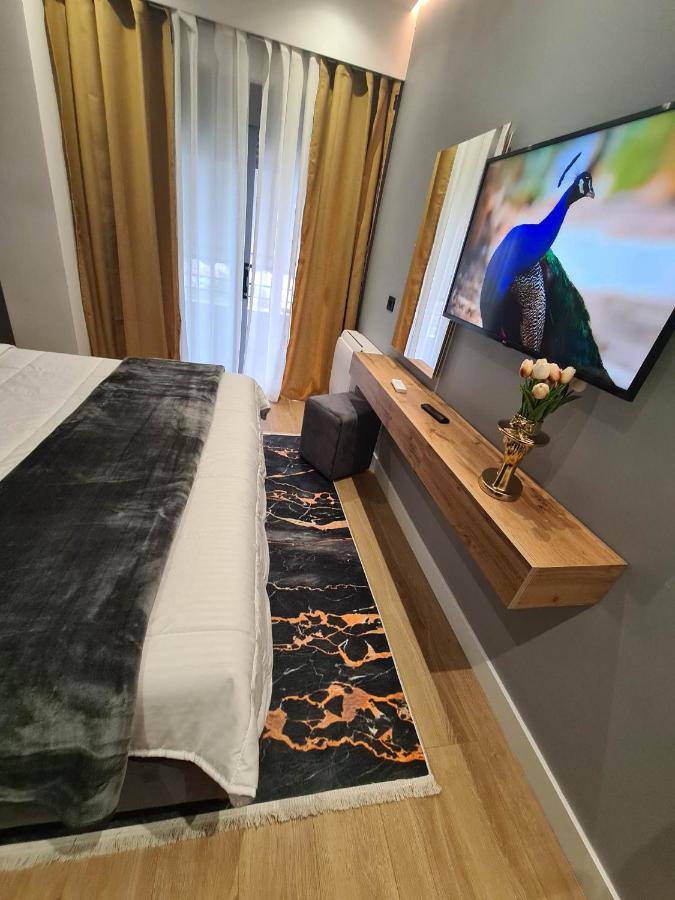 Grey Luxury Apartment Gjirokastër Eksteriør bilde